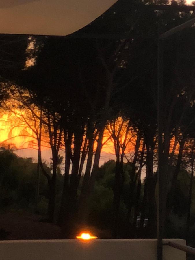 Ilenia Seaview Apartment Cefalu Bagian luar foto